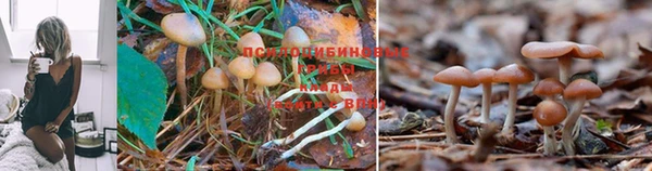 марихуана Алексин
