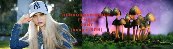 Альфа ПВП Алзамай