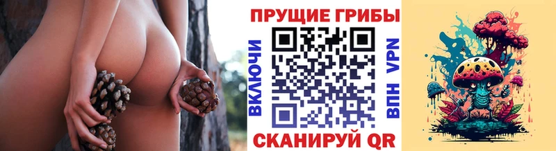 цена наркотик  Жуковка  blacksprut зеркало  мориарти какой сайт  Псилоцибиновые грибы Magic Shrooms 